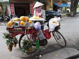 Mobile Fruit Stall