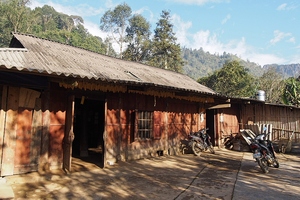 Sapa